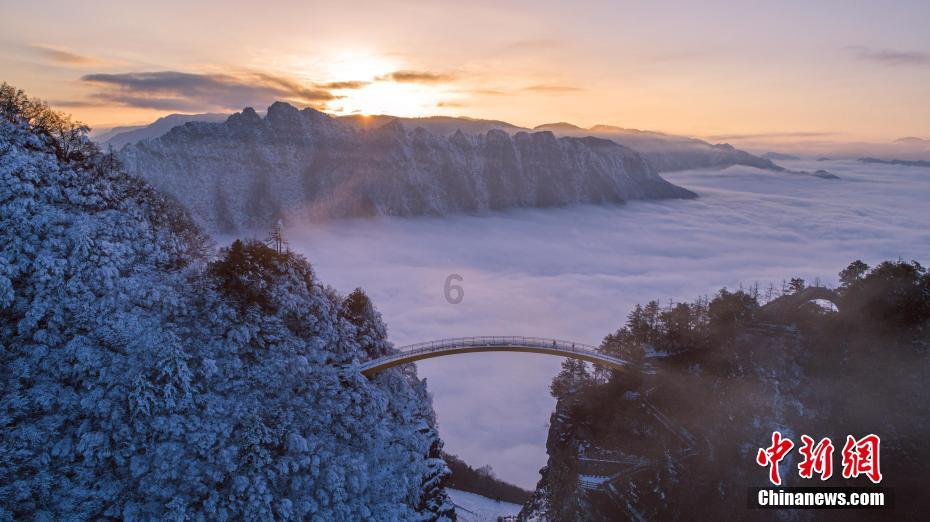 15天给君子兰喂勺“肥水”，根壮叶绿开花艳，新手来看看